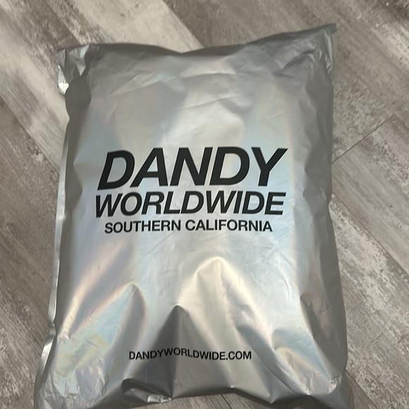 DANDY WORLDWIDE HOODIE - Picture 6 of 7